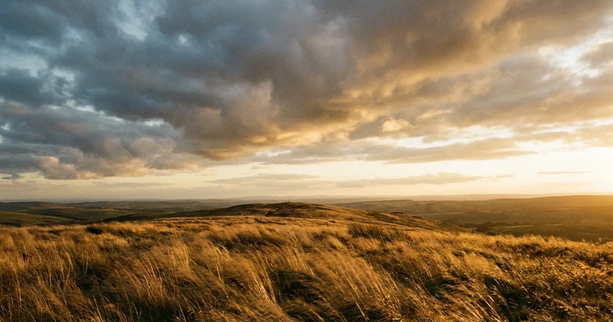 Capim dourado deitado pelo vento no alto de uma colina aberta, com nuvens carregadas ao entardecer